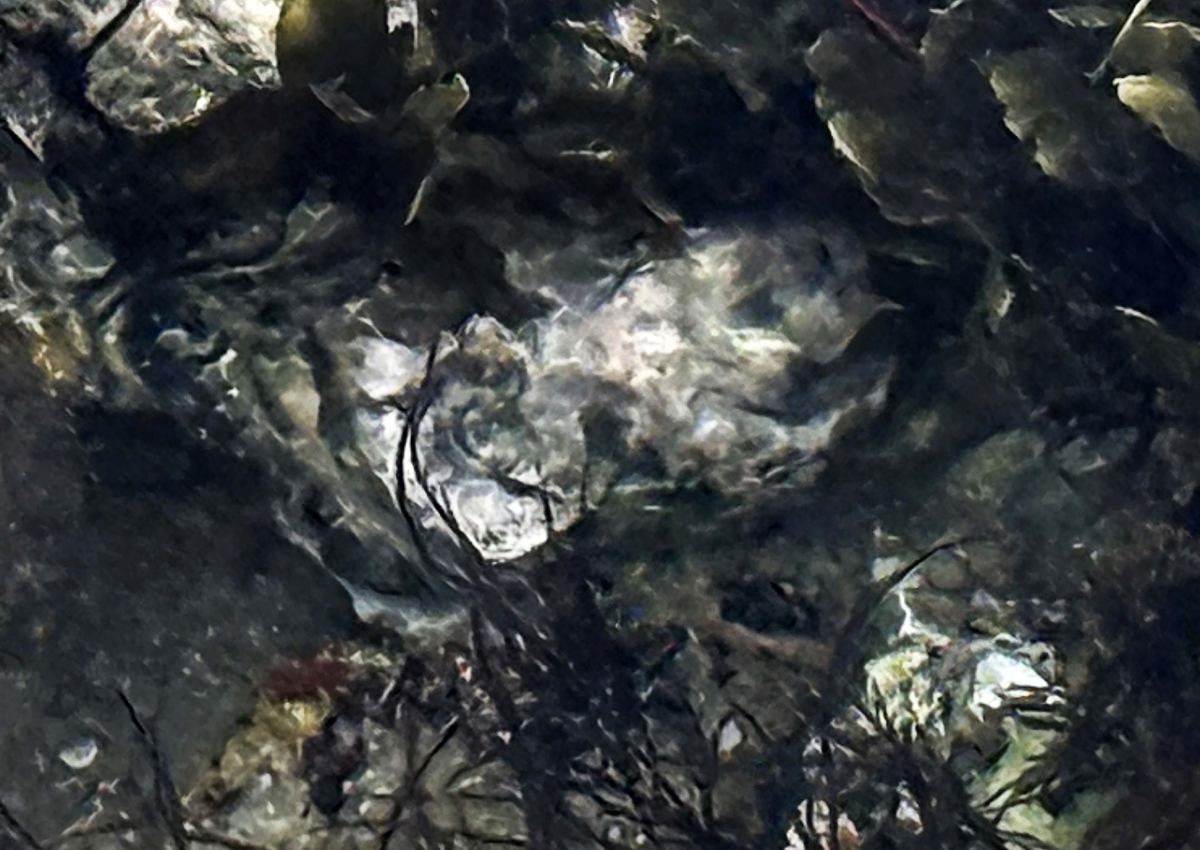 suis-je si mouillé_1200px X 850px