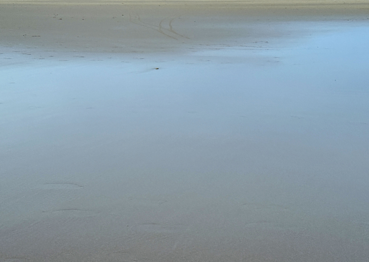 Devoir de vacance_1200x850